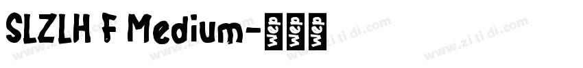 SLZLH F Medium字体转换